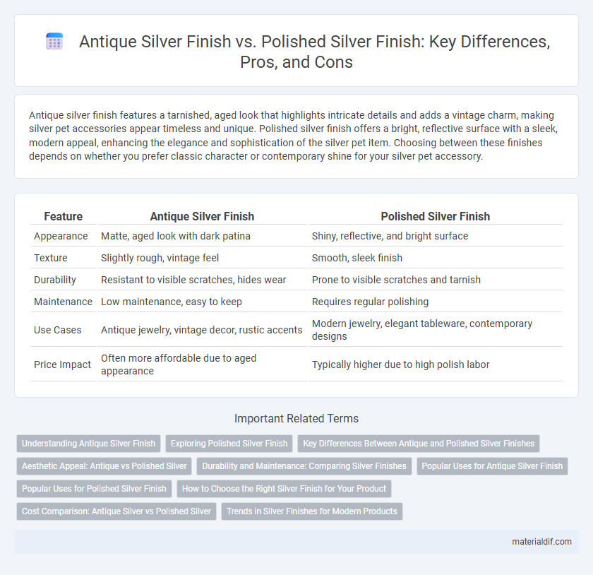 Antique Silver Finish vs. Polished Silver Finish: Key Differences, Pros, and Cons
