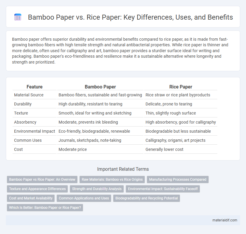 Bamboo Paper vs. Rice Paper: Key Differences, Uses, and Benefits