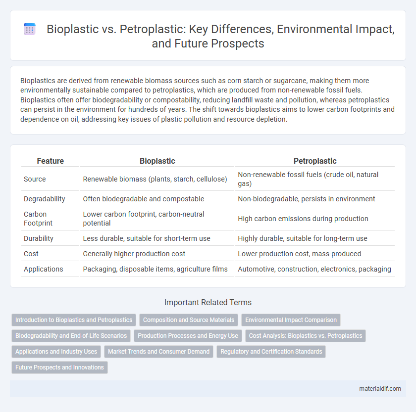 Bioplastic vs. Petroplastic: Key Differences, Environmental Impact, and Future Prospects