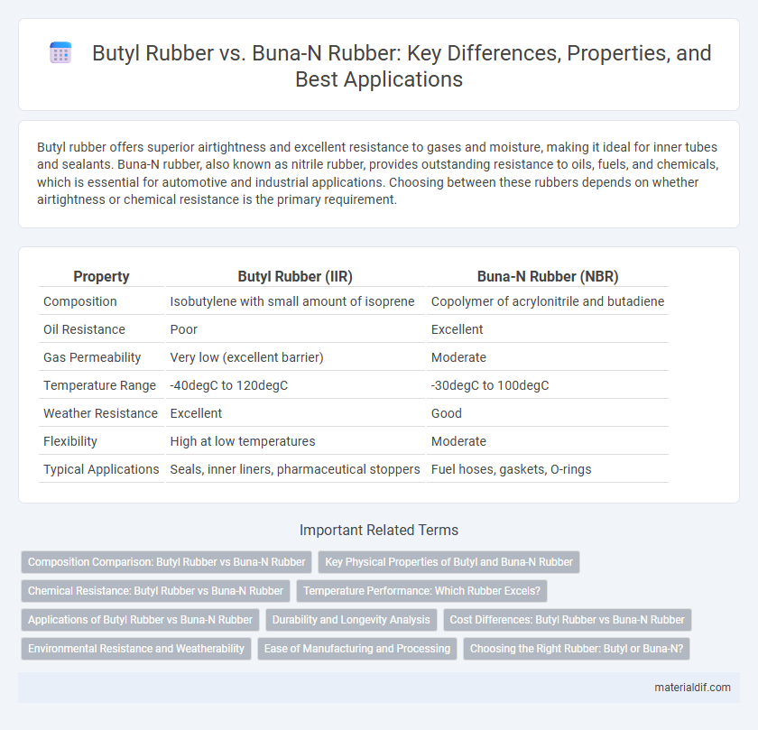 Butyl Rubber vs. Buna-N Rubber: Key Differences, Properties, and Best Applications