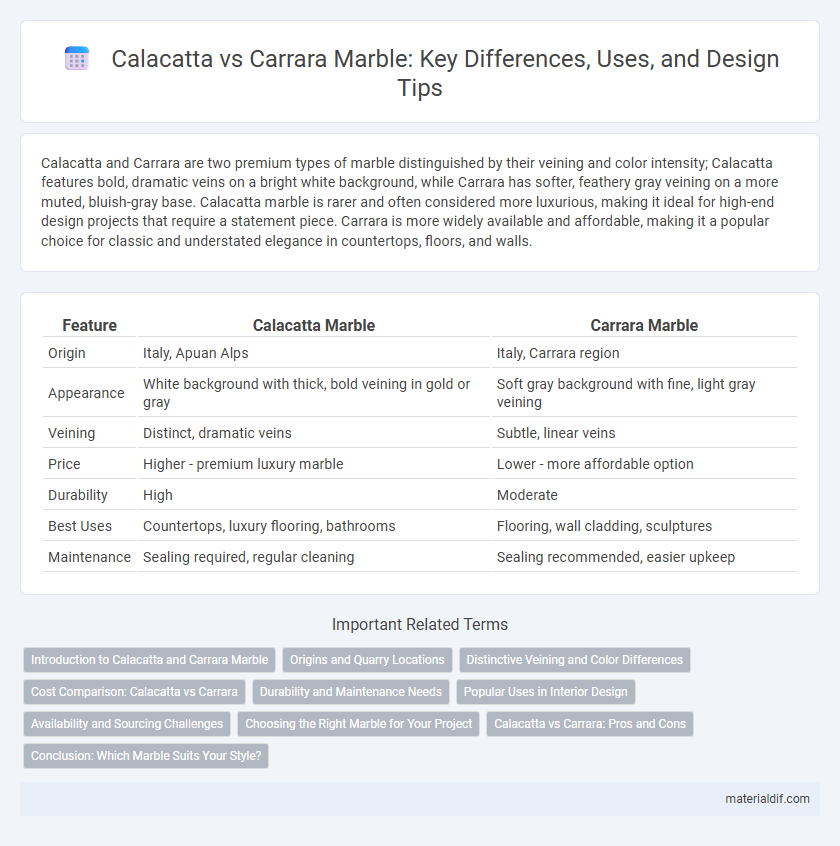 Calacatta vs Carrara Marble: Key Differences, Uses, and Design Tips