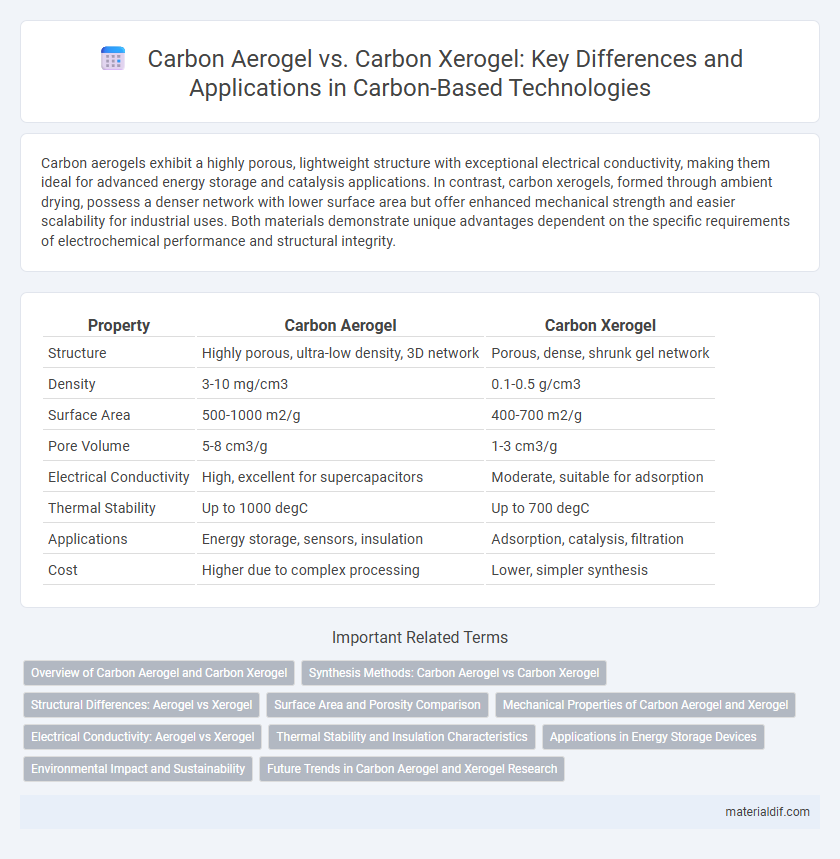 Carbon Aerogel vs. Carbon Xerogel: Key Differences and Applications in Carbon-Based Technologies