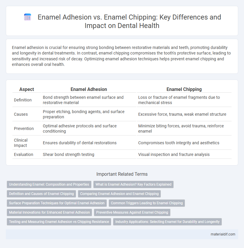 Enamel Adhesion vs. Enamel Chipping: Key Differences and Impact on Dental Health