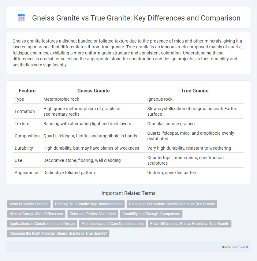 Gneiss Granite vs True Granite: Key Differences and Comparison