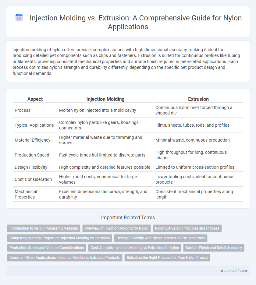 Injection Molding vs. Extrusion: A Comprehensive Guide for Nylon Applications