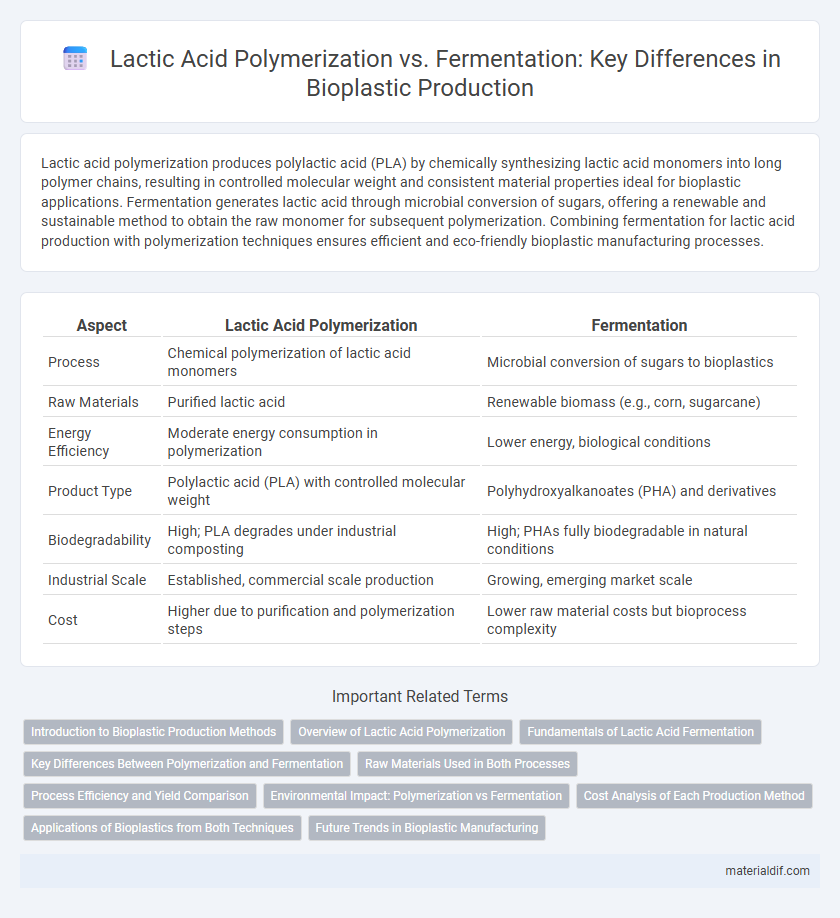 Lactic Acid Polymerization vs. Fermentation: Key Differences in Bioplastic Production