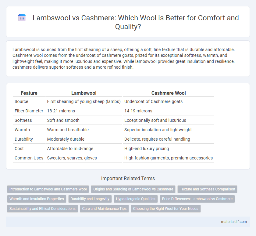Lambswool vs Cashmere: Which Wool is Better for Comfort and Quality?