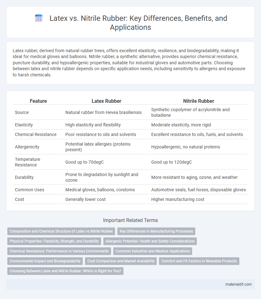 Latex vs. Nitrile Rubber: Key Differences, Benefits, and Applications