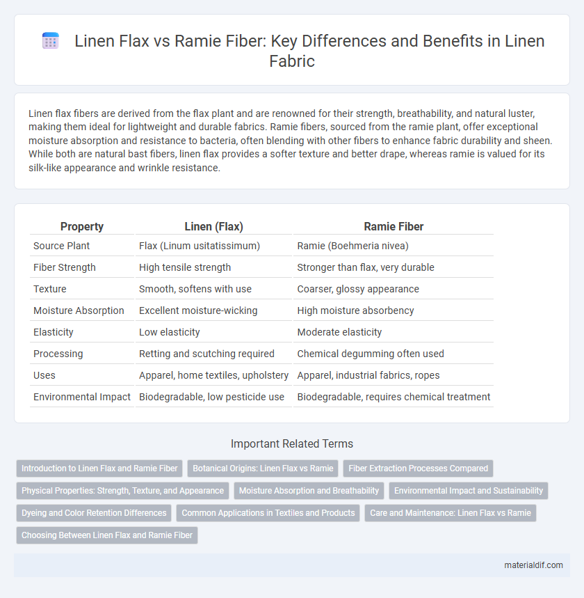 Linen Flax vs Ramie Fiber: Key Differences and Benefits in Linen Fabric