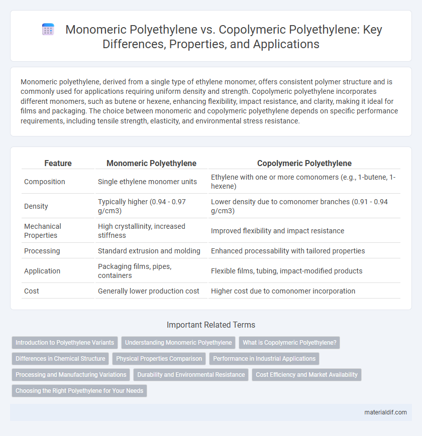 Monomeric Polyethylene vs. Copolymeric Polyethylene: Key Differences, Properties, and Applications