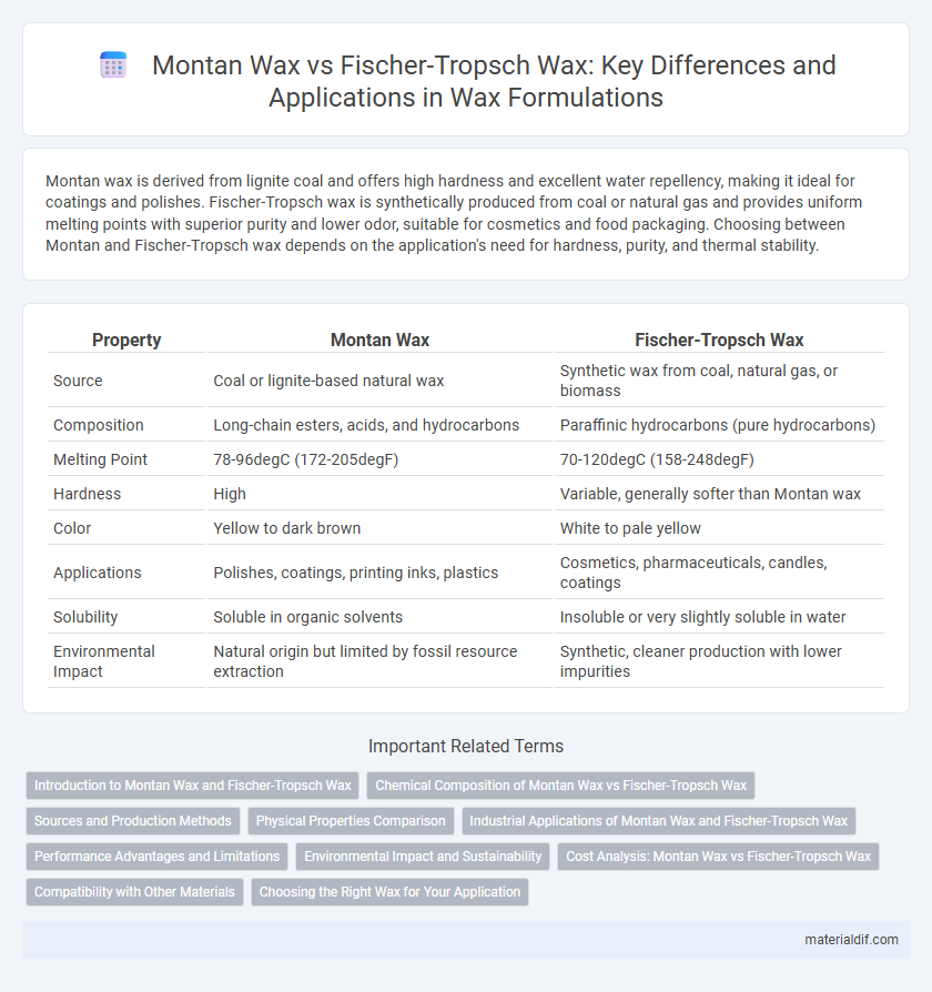 Montan Wax vs Fischer-Tropsch Wax: Key Differences and Applications in Wax Formulations