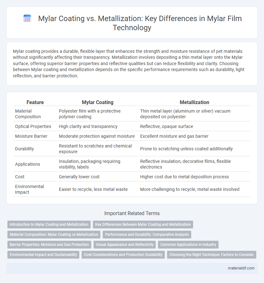 Mylar Coating vs. Metallization: Key Differences in Mylar Film Technology