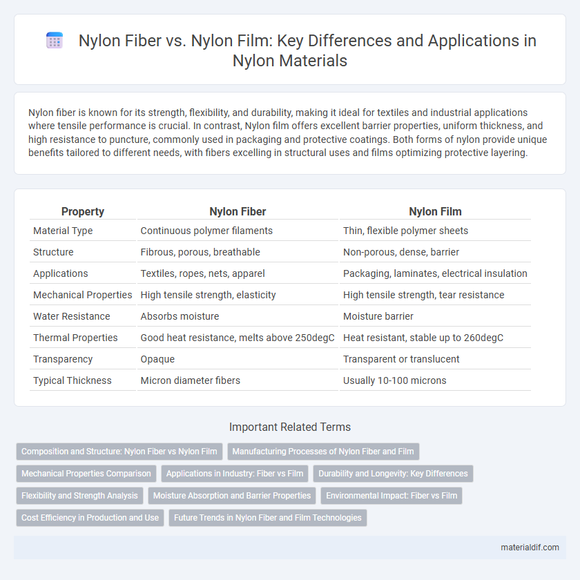 Nylon Fiber vs. Nylon Film: Key Differences and Applications in Nylon Materials