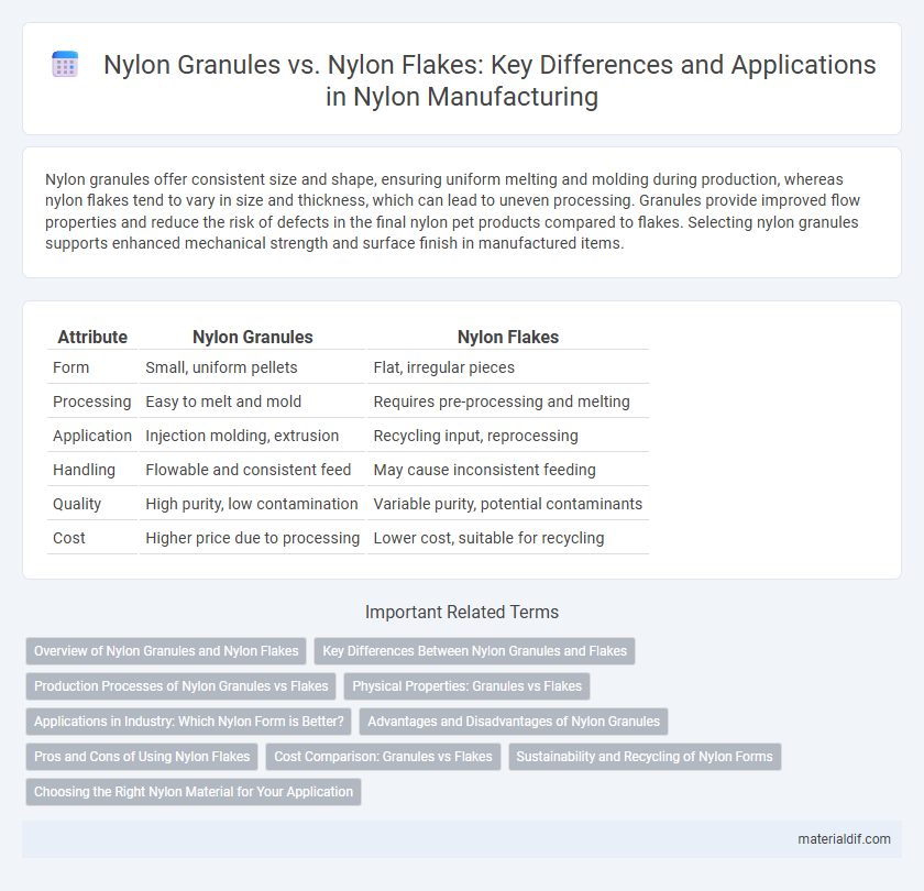 Nylon Granules vs. Nylon Flakes: Key Differences and Applications in Nylon Manufacturing