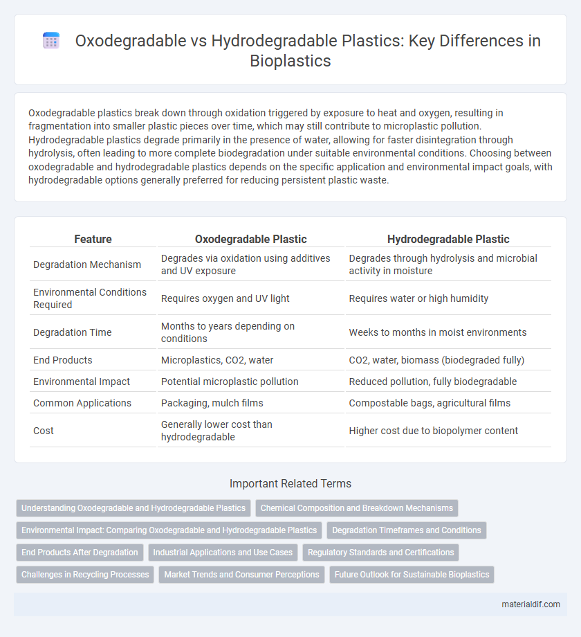 Oxodegradable vs Hydrodegradable Plastics: Key Differences in Bioplastics