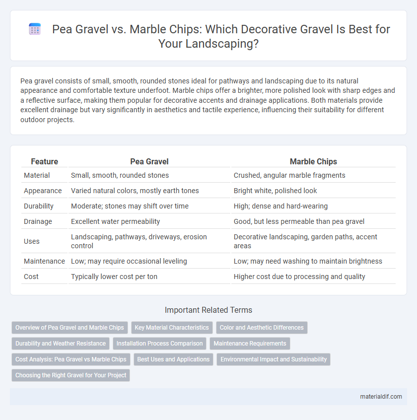 Pea Gravel vs. Marble Chips: Which Decorative Gravel Is Best for Your Landscaping?
