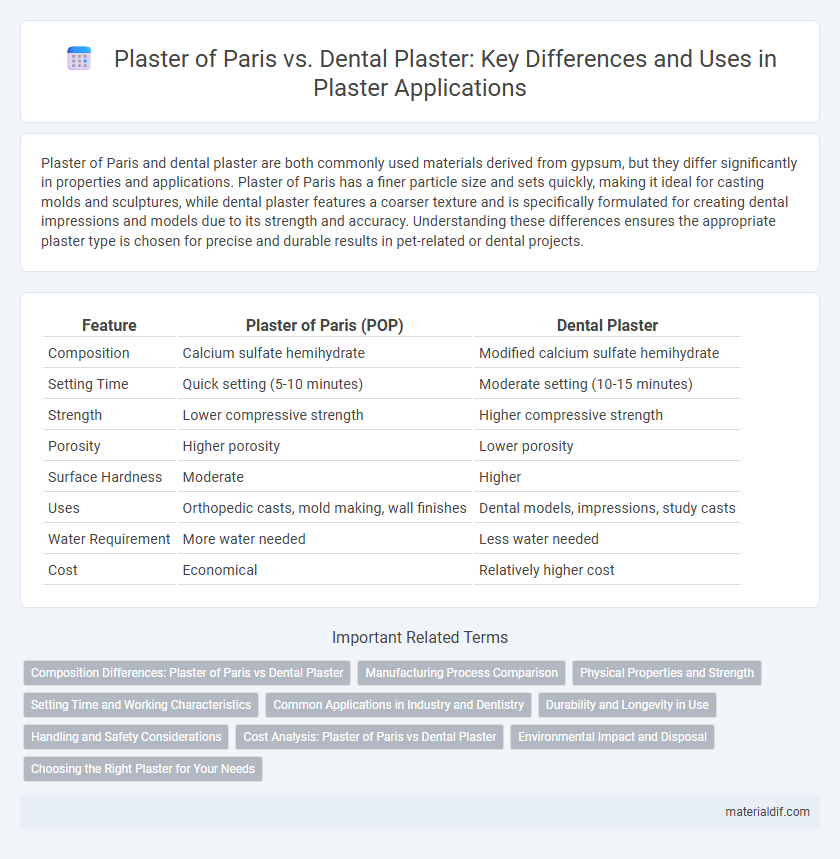 Plaster of Paris vs. Dental Plaster: Key Differences and Uses in Plaster Applications
