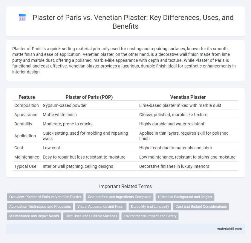 Plaster of Paris vs. Venetian Plaster: Key Differences, Uses, and Benefits