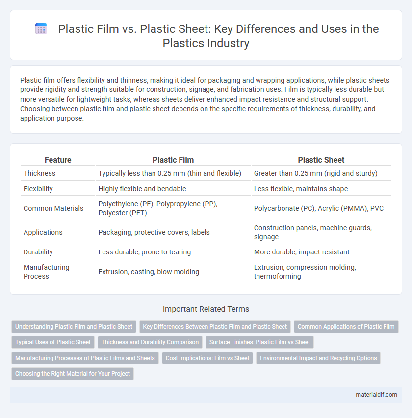 Plastic Film vs. Plastic Sheet: Key Differences and Uses in the Plastics Industry