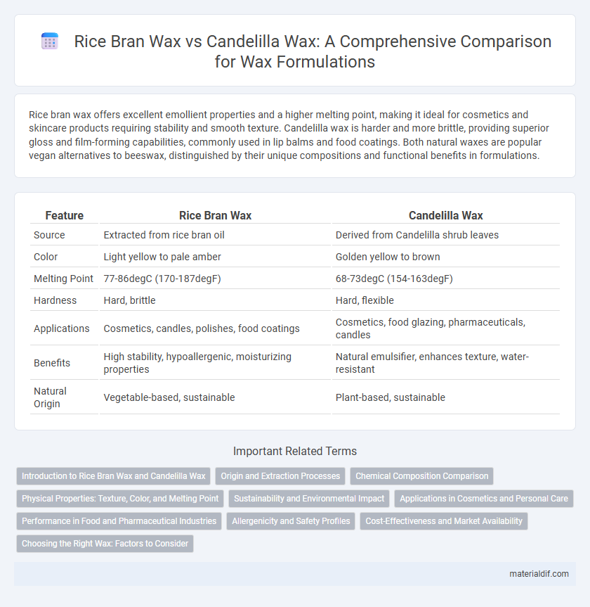 Rice Bran Wax vs Candelilla Wax: A Comprehensive Comparison for Wax Formulations