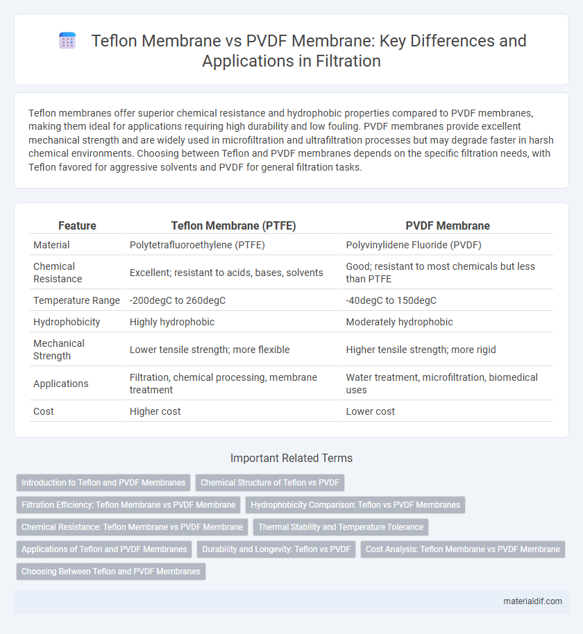 Teflon Membrane vs PVDF Membrane: Key Differences and Applications in Filtration