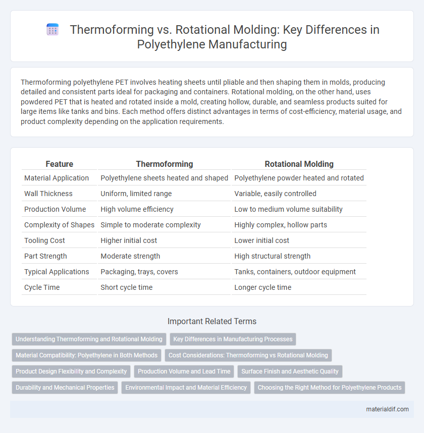 Thermoforming vs. Rotational Molding: Key Differences in Polyethylene Manufacturing