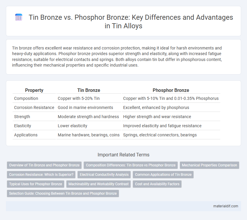 Tin Bronze vs. Phosphor Bronze: Key Differences and Advantages in Tin Alloys