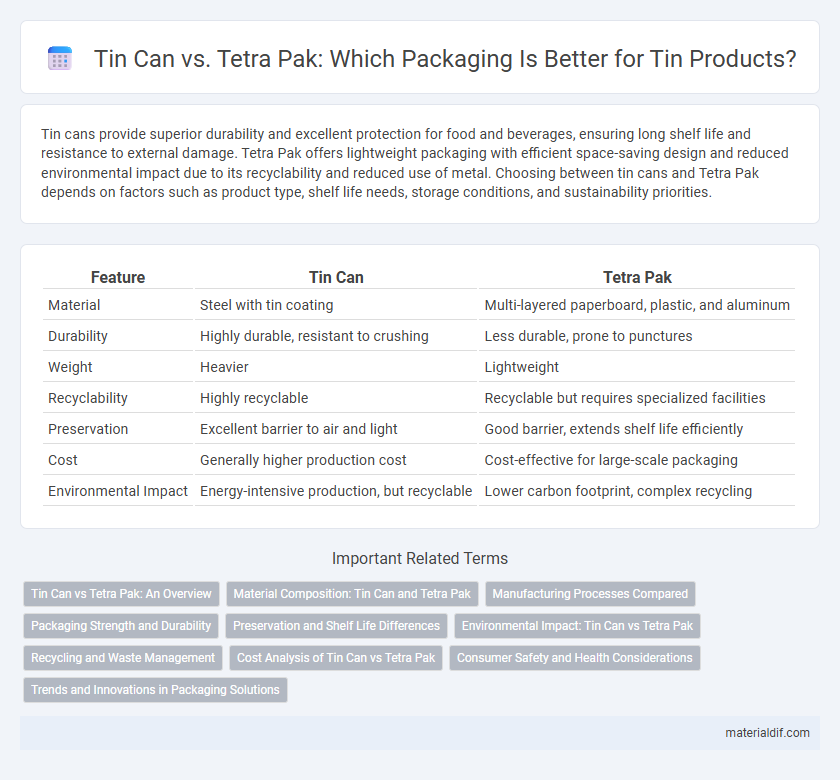 Tin Can vs. Tetra Pak: Which Packaging Is Better for Tin Products?