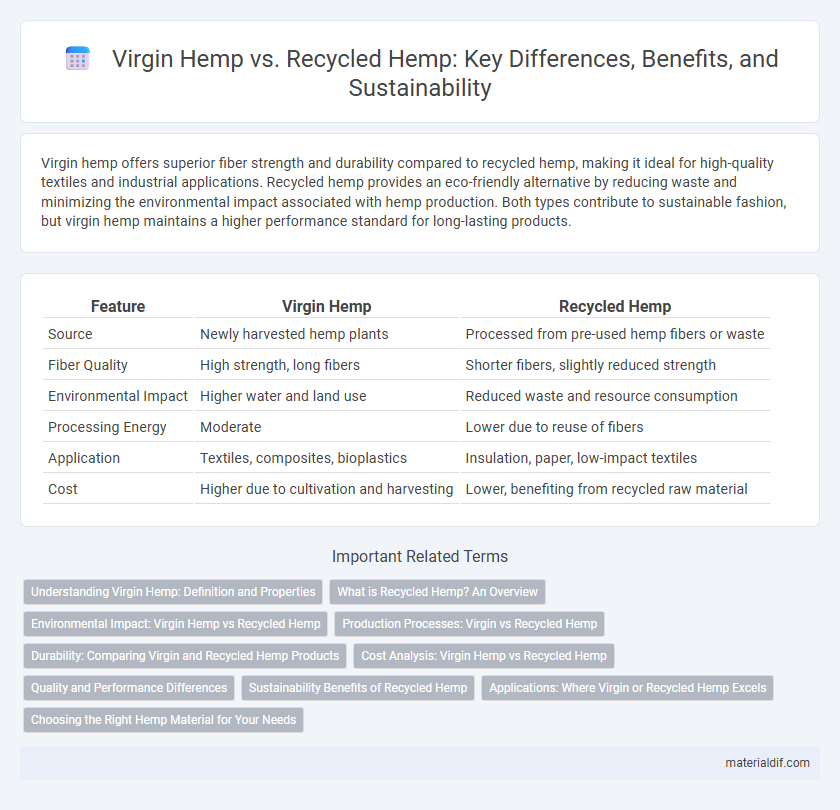 Virgin Hemp vs. Recycled Hemp: Key Differences, Benefits, and Sustainability