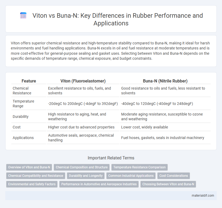 Viton vs Buna-N: Key Differences in Rubber Performance and Applications