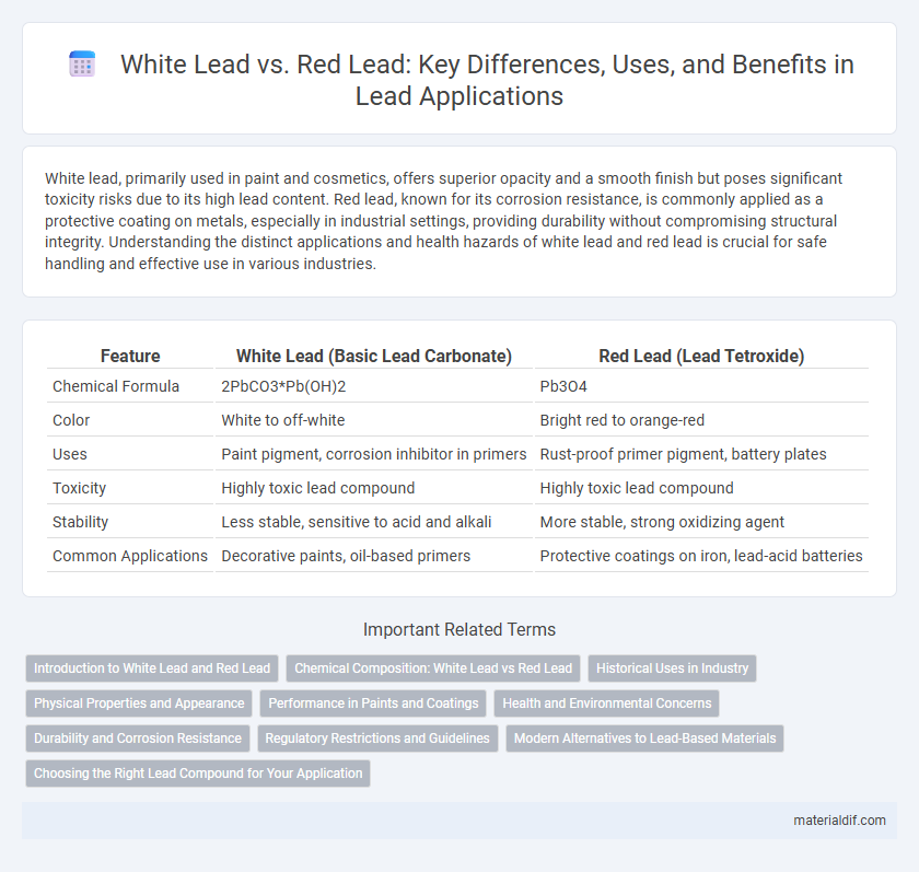 White Lead vs. Red Lead: Key Differences, Uses, and Benefits in Lead Applications