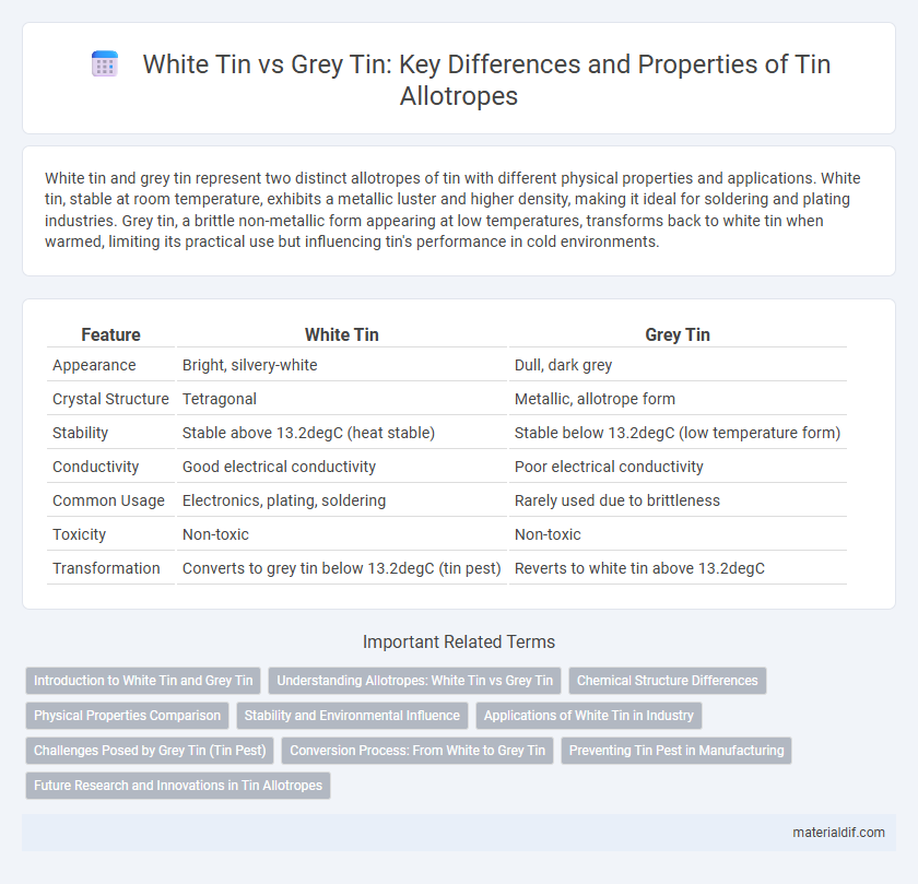 White Tin vs Grey Tin: Key Differences and Properties of Tin Allotropes