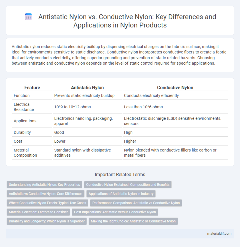 Antistatic Nylon vs. Conductive Nylon: Key Differences and Applications in Nylon Products