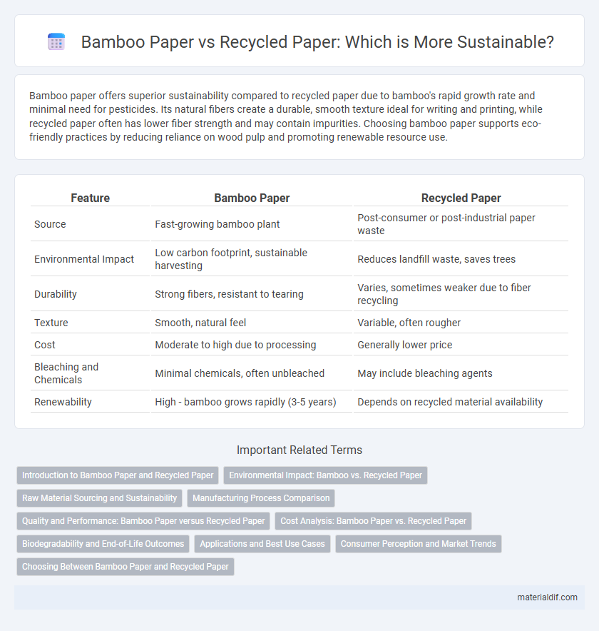 Bamboo Paper vs Recycled Paper: Which is More Sustainable?