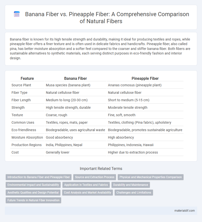 Banana Fiber vs. Pineapple Fiber: A Comprehensive Comparison of Natural Fibers