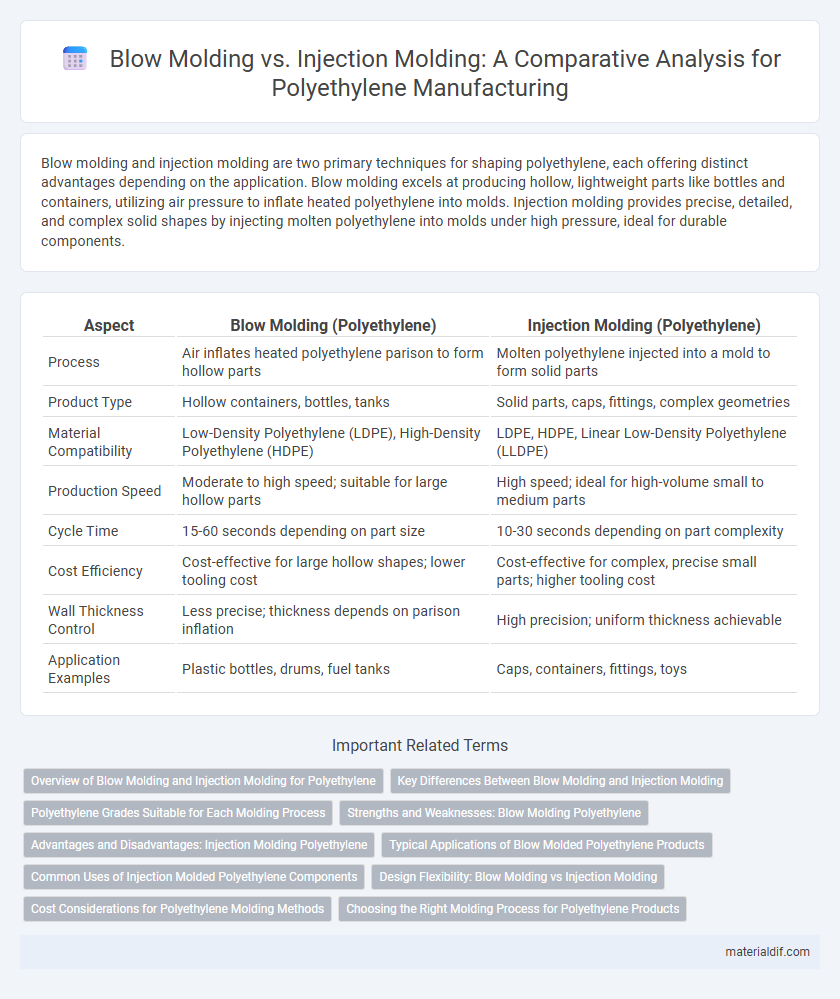Blow Molding vs. Injection Molding: A Comparative Analysis for Polyethylene Manufacturing