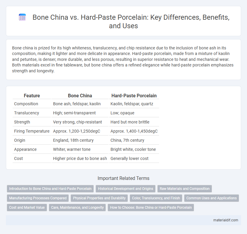 Bone China vs. Hard-Paste Porcelain: Key Differences, Benefits, and Uses
