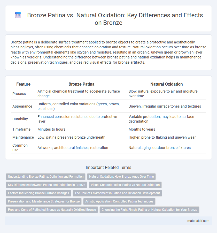 Bronze Patina vs. Natural Oxidation: Key Differences and Effects on Bronze
