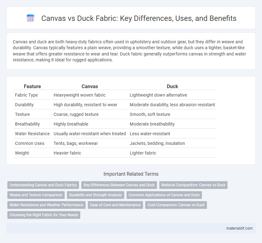 Canvas vs Duck Fabric: Key Differences, Uses, and Benefits