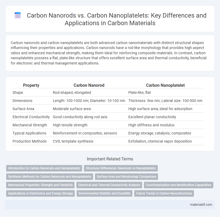Carbon Nanorods vs. Carbon Nanoplatelets: Key Differences and Applications in Carbon Materials