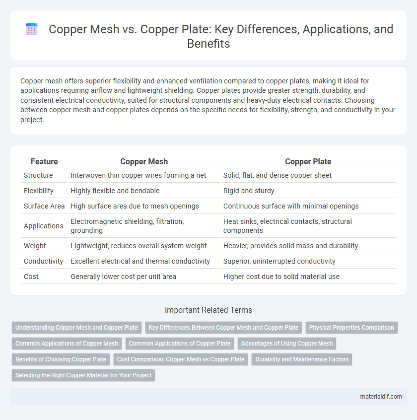 Copper Mesh vs. Copper Plate: Key Differences, Applications, and Benefits