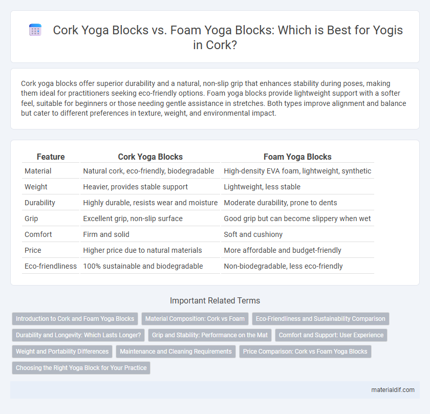 Cork Yoga Blocks vs. Foam Yoga Blocks: Which is Best for Yogis in Cork?