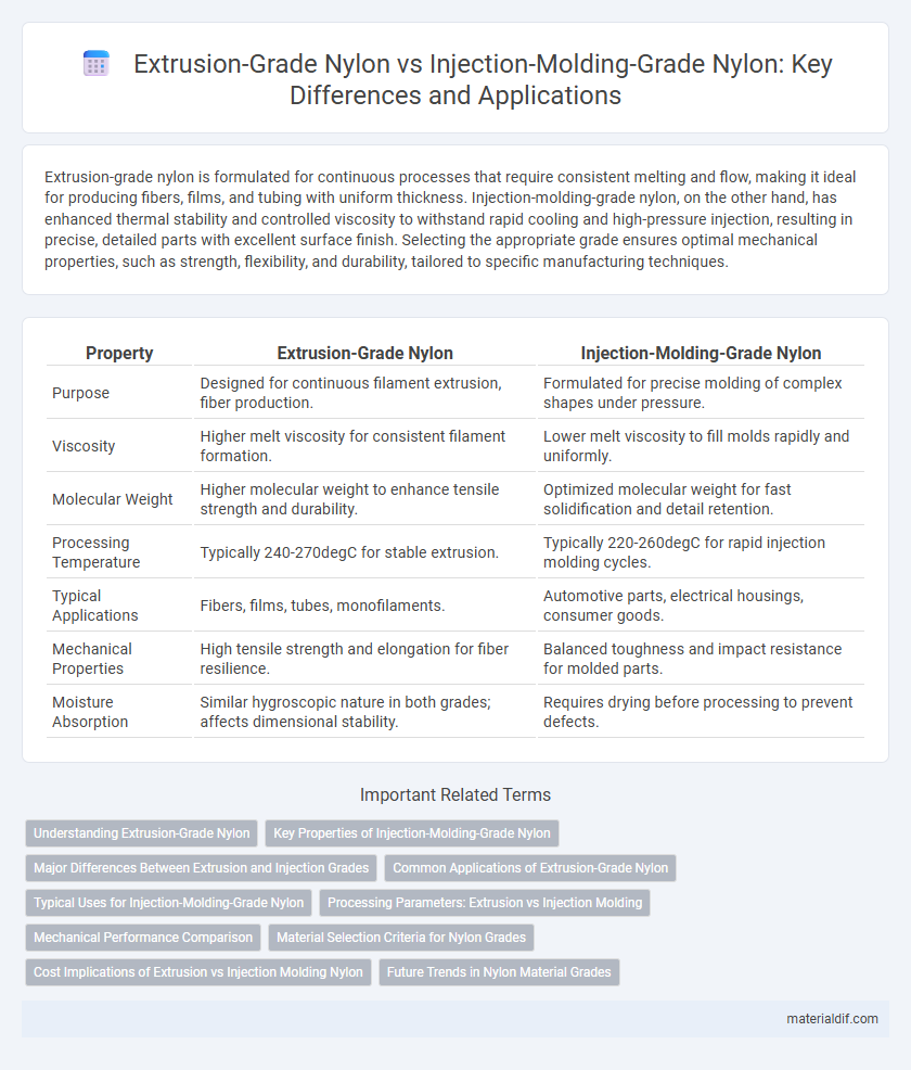 Extrusion-Grade Nylon vs Injection-Molding-Grade Nylon: Key Differences and Applications