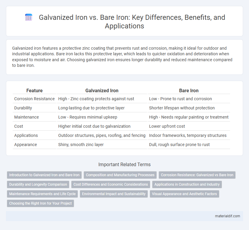 Galvanized Iron vs. Bare Iron: Key Differences, Benefits, and Applications