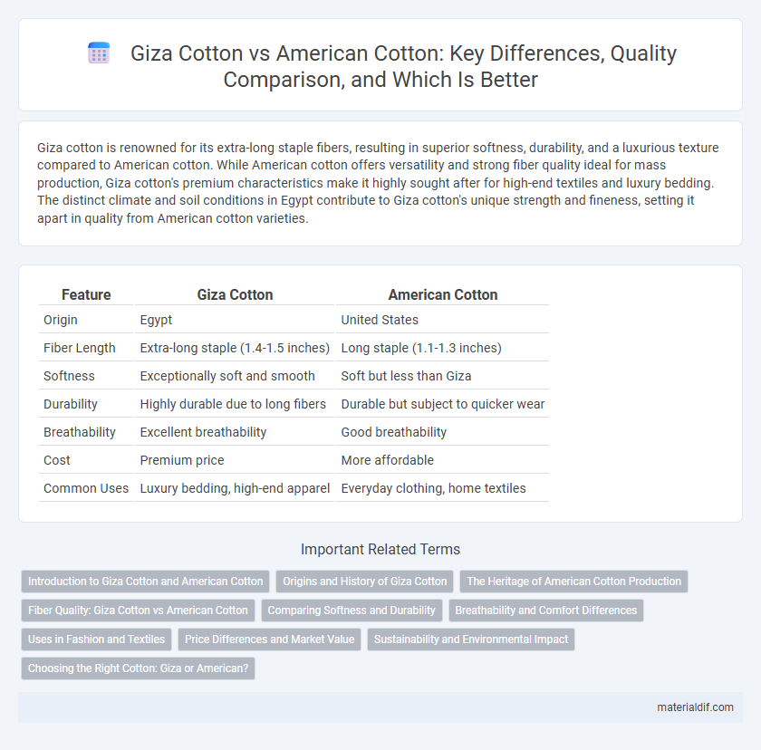 Giza Cotton vs American Cotton: Key Differences, Quality Comparison, and Which Is Better