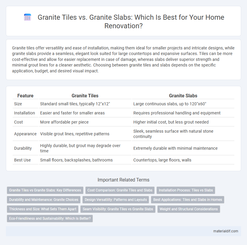 Granite Tiles vs. Granite Slabs: Which Is Best for Your Home Renovation?