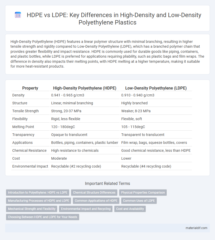 HDPE vs LDPE: Key Differences in High-Density and Low-Density Polyethylene Plastics