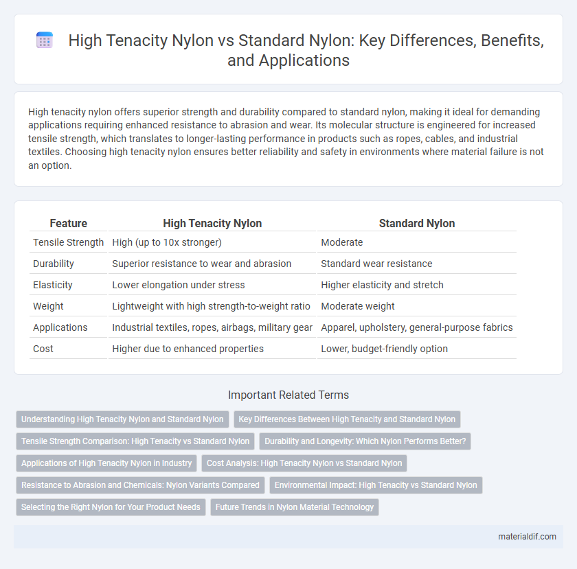 High Tenacity Nylon vs Standard Nylon: Key Differences, Benefits, and Applications