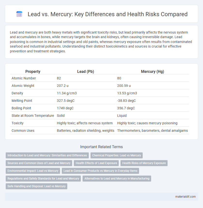 Lead vs. Mercury: Key Differences and Health Risks Compared