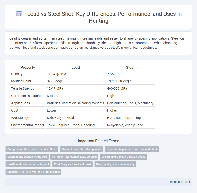 Lead vs Steel Shot: Key Differences, Performance, and Uses in Hunting